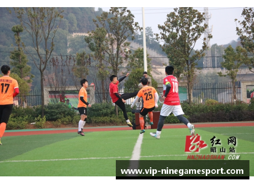 探寻帕勒莫足球队的珠玑：球员风采与球队荣耀